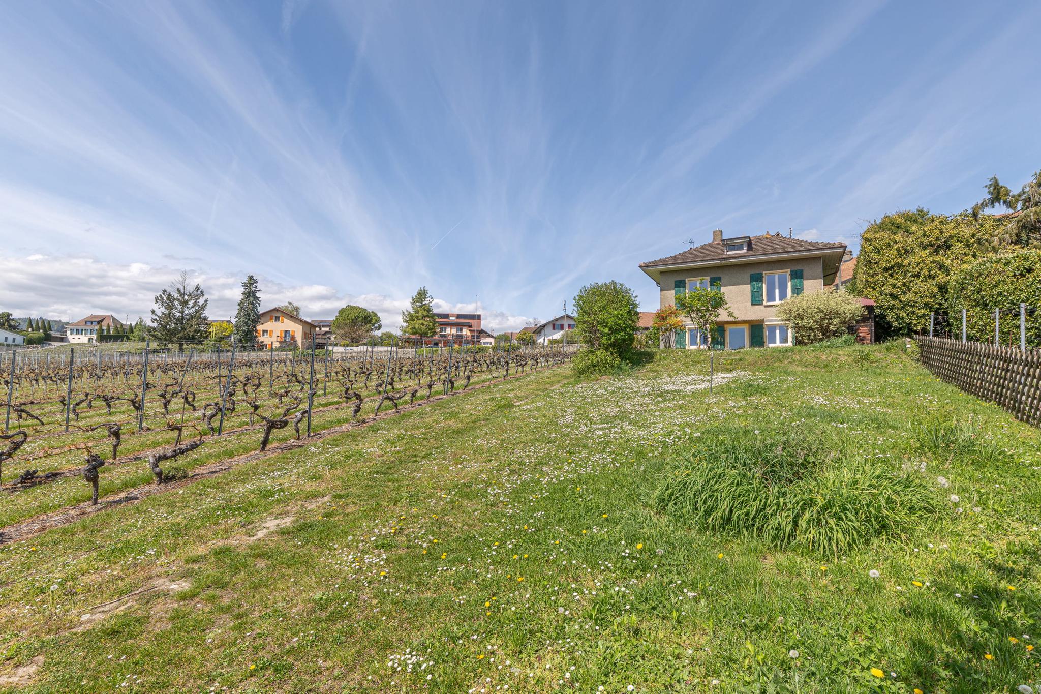 Allaman | Maison avec charme dans les vignes